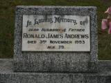 image of grave number 879461